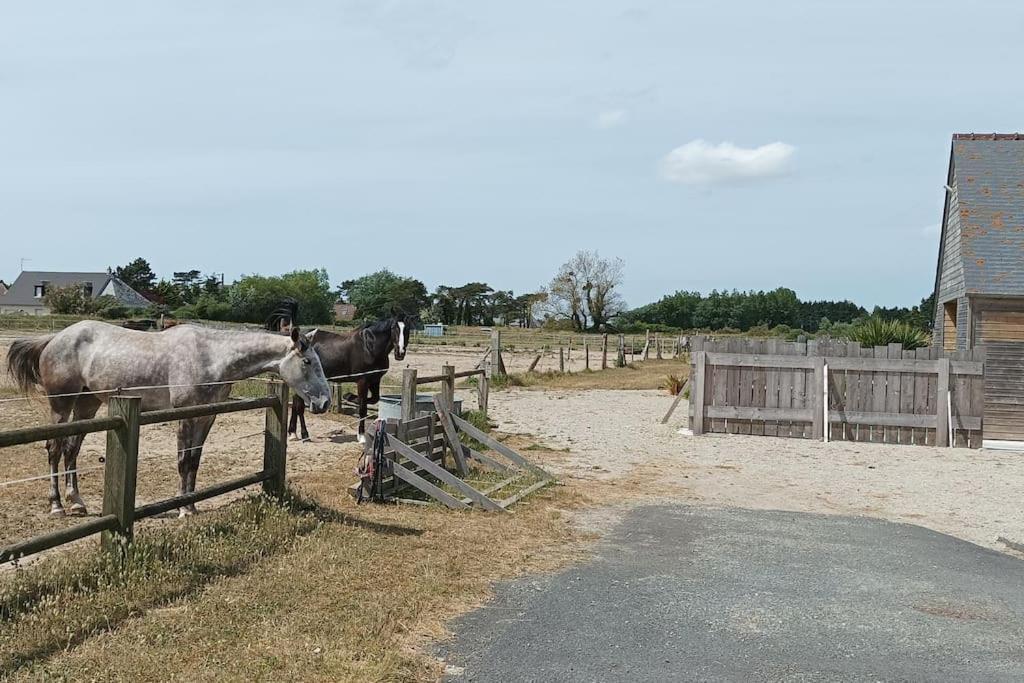 Le Gite De La Ferme Portbail Exterior foto